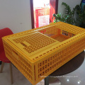 Cage de transport de volaille en plastique d&#39;usine à vendre